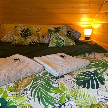 Swierkowe Chatki W Koniakowie Feriehus Koniaków