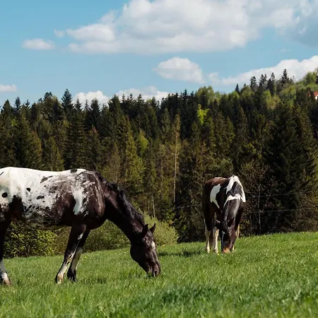 Casa de Férias Swierkowe Chatki W Koniakowie Koniaków