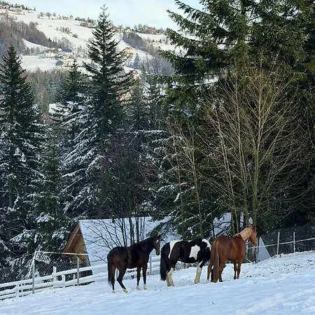 Hébergement de vacances Swierkowe Chatki W Koniakowie