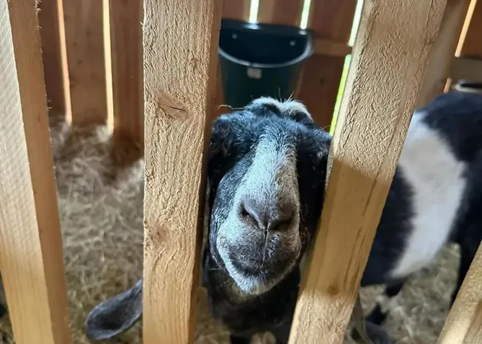 Swierkowe Chatki W Koniakowie Prázdninový dům