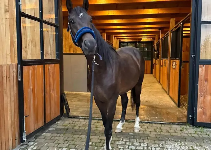 Tatil Evi Swierkowe Chatki W Koniakowie *