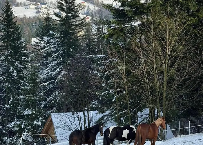 Tatil Evi Swierkowe Chatki W Koniakowie